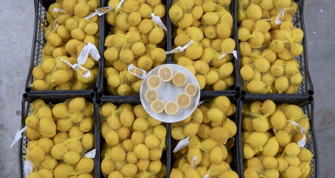 Mersin'in limonları bu kez başkent için yola çıktı